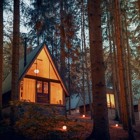 Hotel Kouty - Lesni Apartmany Ledeč nad Sázavou Bagian luar foto
